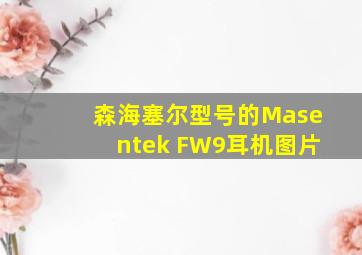 森海塞尔型号的Masentek FW9耳机图片